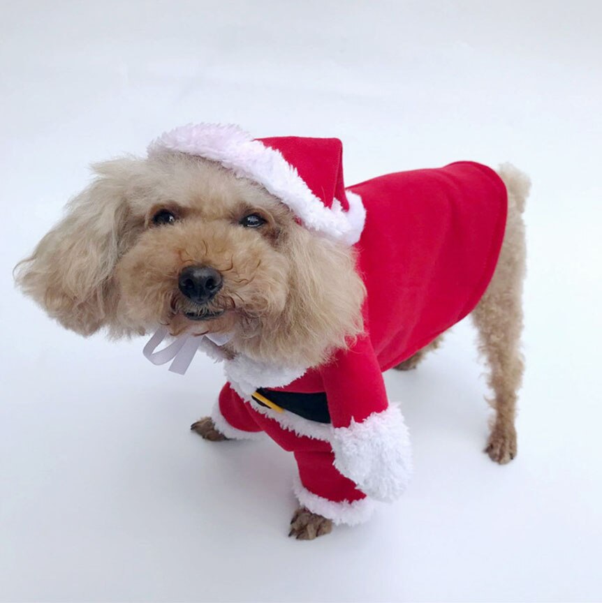 Christmas Santa Dog Costume