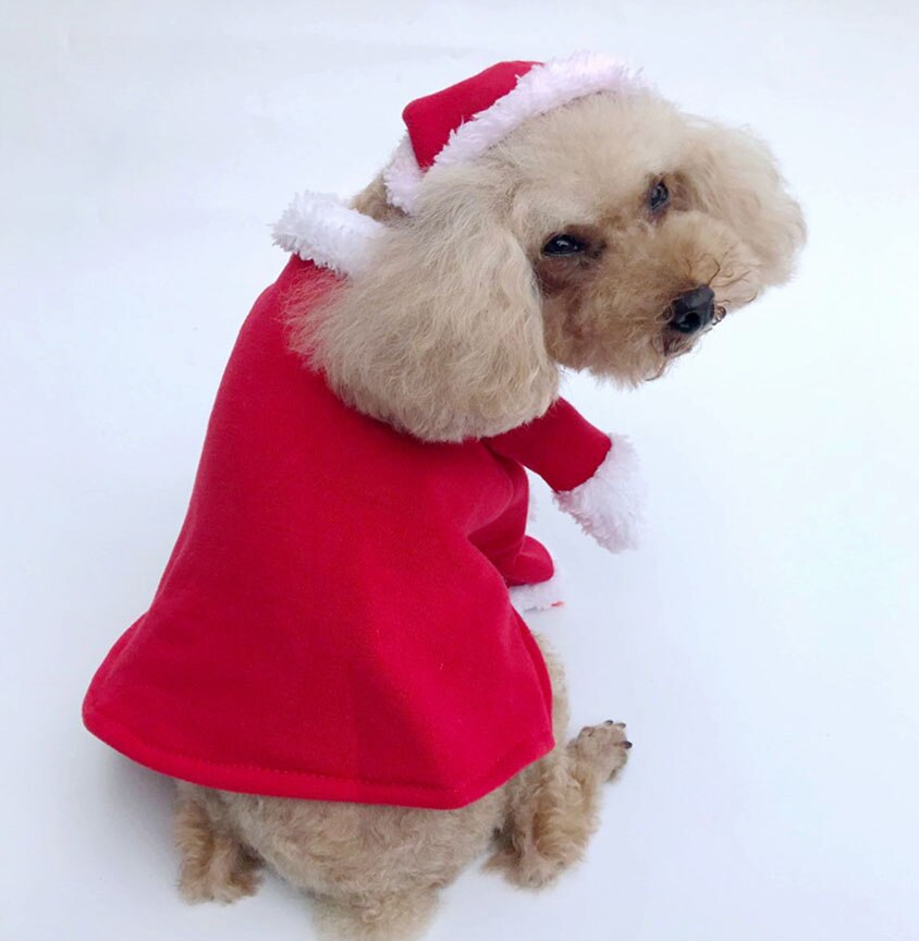 Christmas Santa Dog Costume