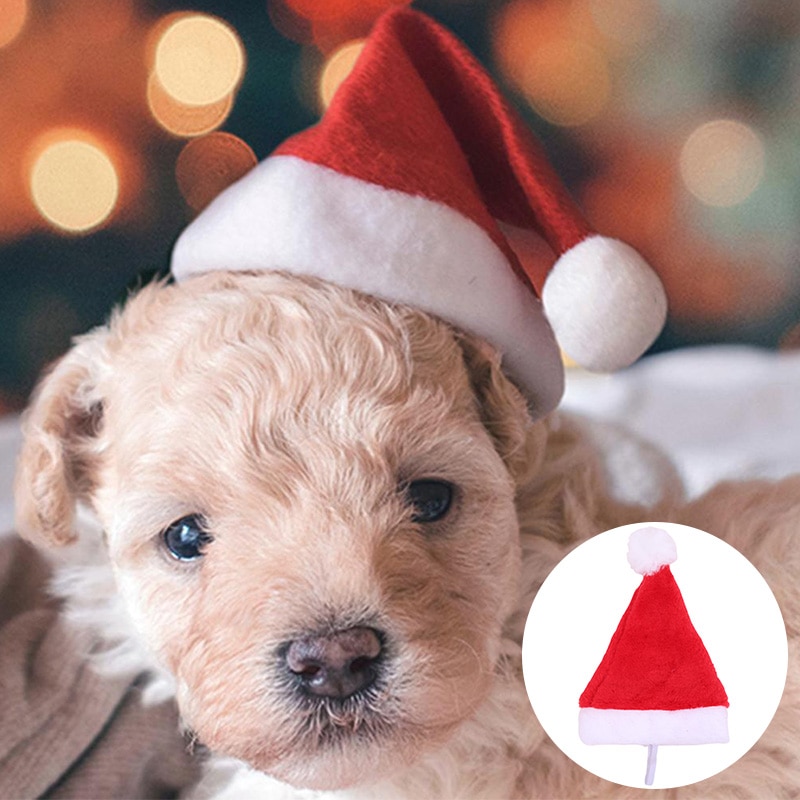 Christmas Santa Hat for Dogs
