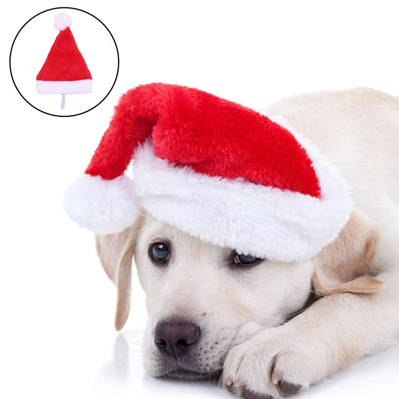 Christmas Santa Hat for Dogs