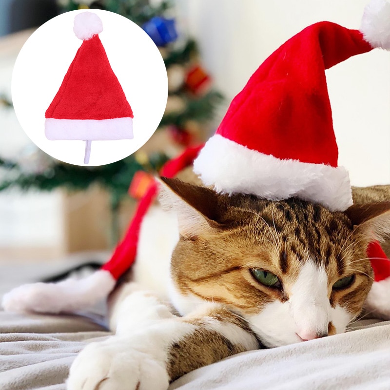 Christmas Santa Hat for Dogs