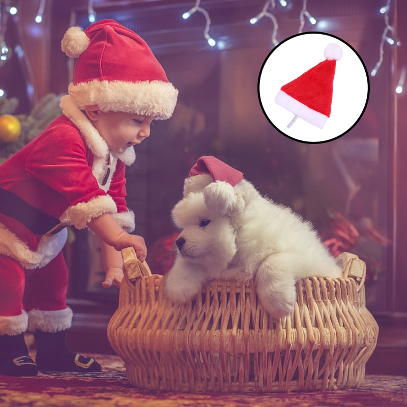 Christmas Santa Hat for Dogs