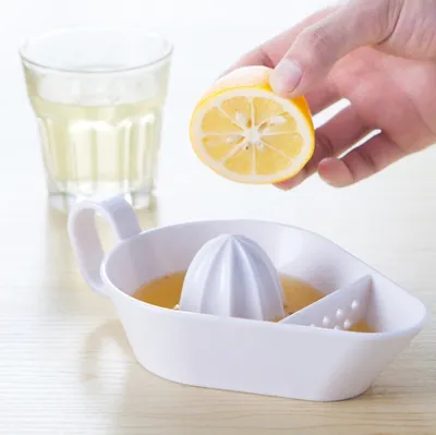 Citrus Squeezer Fruit Manual Juicer