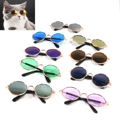 Classic Round Sunglasses for Cats