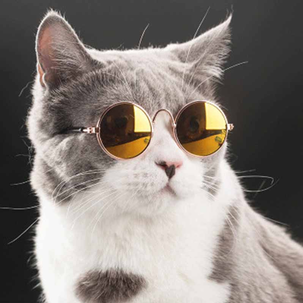 Classic Round Sunglasses for Cats