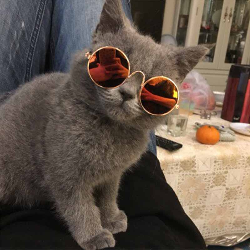 Classic Round Sunglasses for Cats
