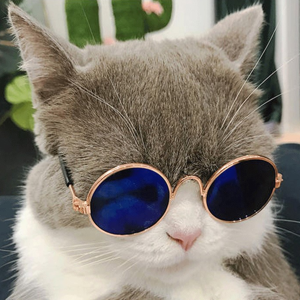 Classic Round Sunglasses for Cats