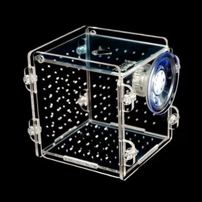 Clear Acrylic Aquarium Isolation Box Clear Acrylic Aquarium Isolation Box