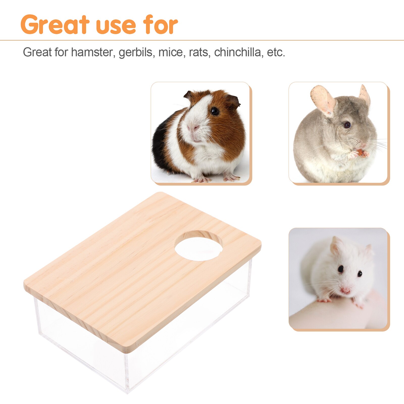 Clear Acrylic Hamster Sand Box Clear Acrylic Hamster Sand Box