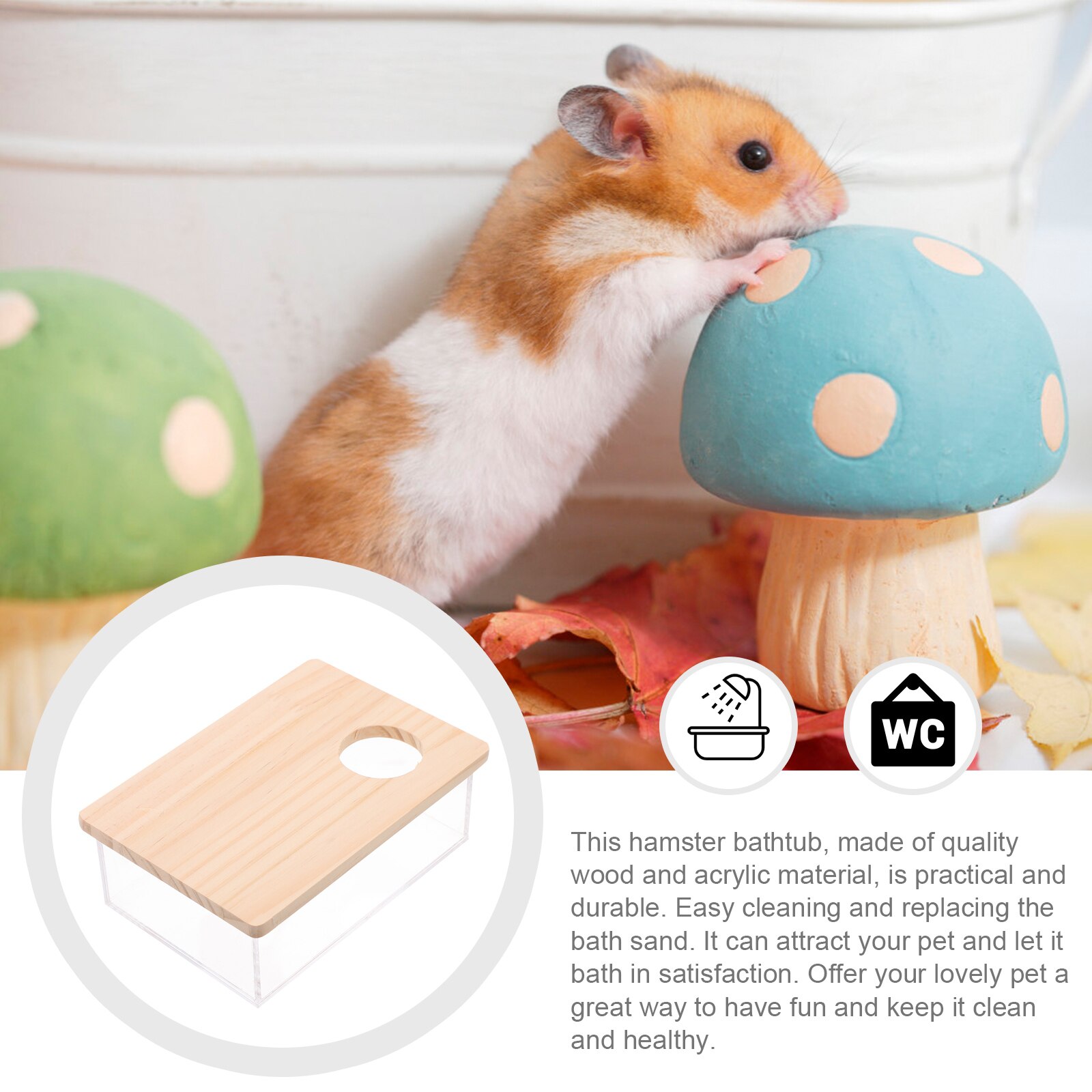 Clear Acrylic Hamster Sand Box Clear Acrylic Hamster Sand Box