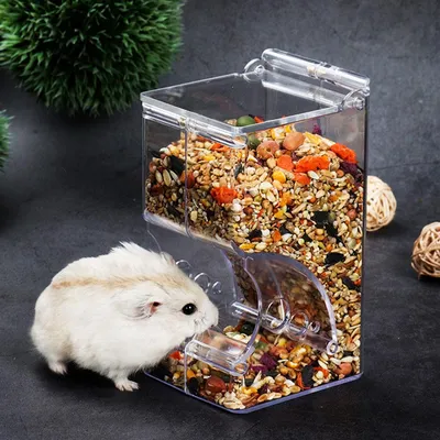 Clear Automatic Hamster Food Dispenser Clear Automatic Hamster Food Dispenser