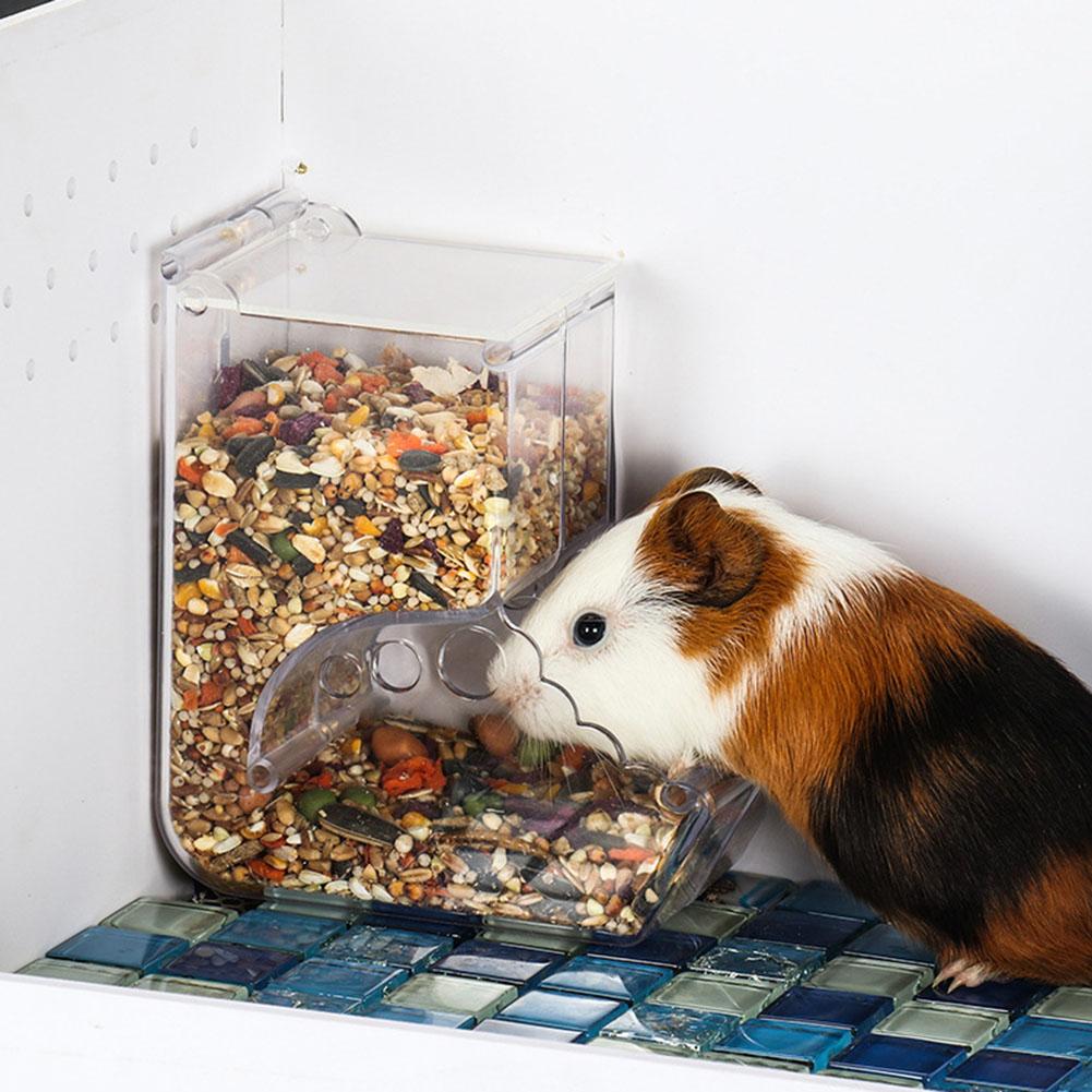 Clear Automatic Hamster Food Dispenser Clear Automatic Hamster Food Dispenser