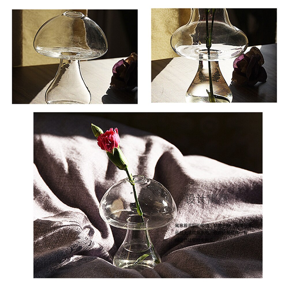 Clear Glass Hydroponics Mushroom Vase