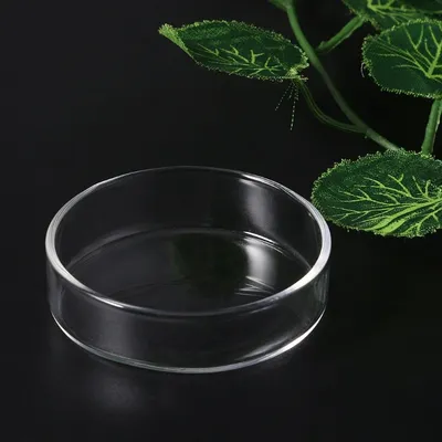 Clear Glass Shrimp Feeder Dish