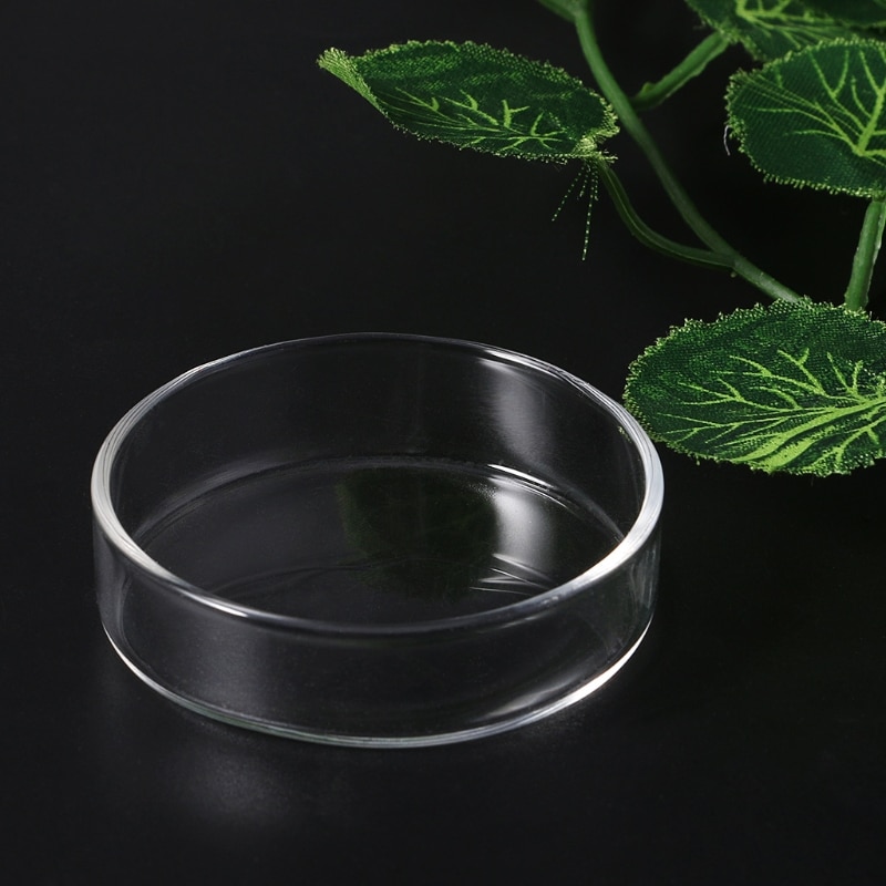 Clear Glass Shrimp Feeder Dish