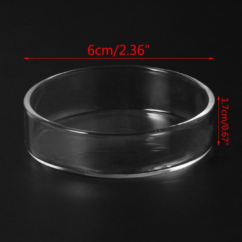 Clear Glass Shrimp Feeder Dish