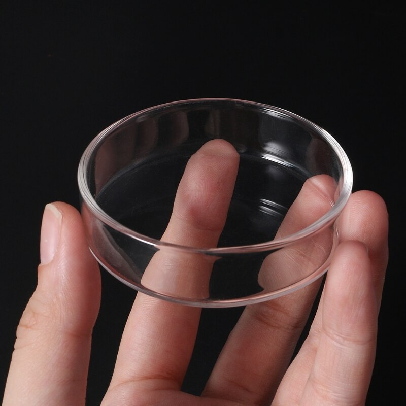 Clear Glass Shrimp Feeder Dish