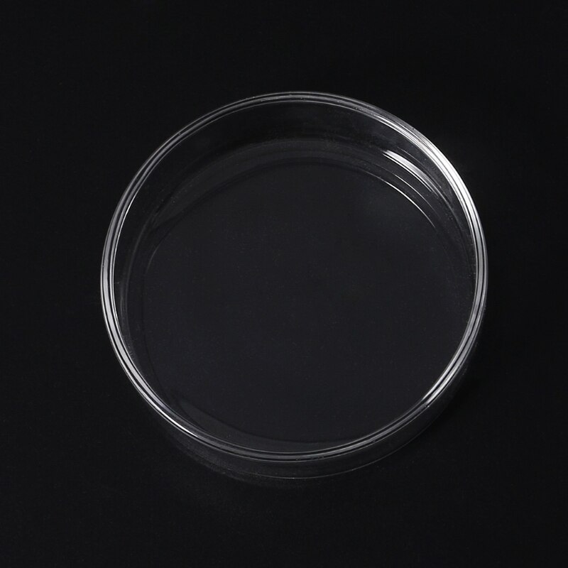 Clear Glass Shrimp Feeder Dish