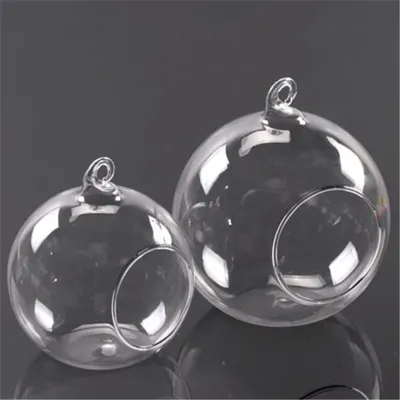 Clear Hanging Air Plant Vase Clear Hanging Air Plant Vase