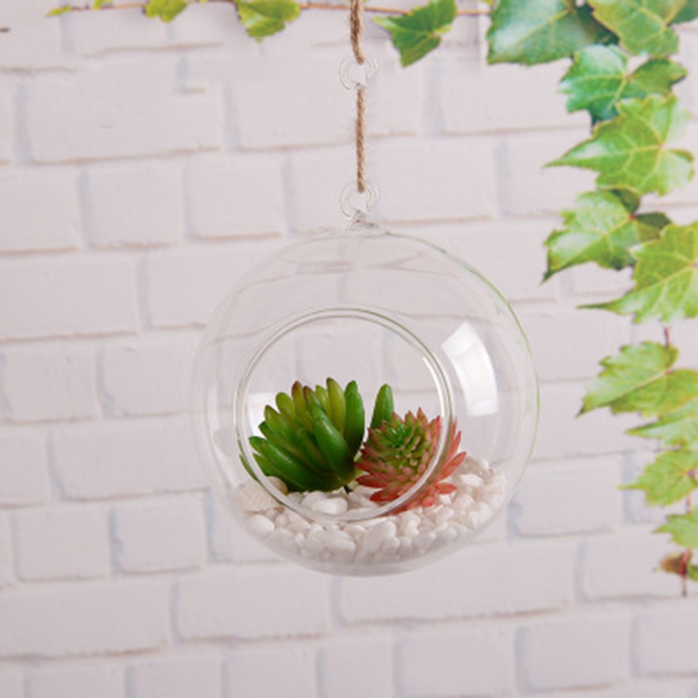 Clear Hanging Air Plant Vase Clear Hanging Air Plant Vase