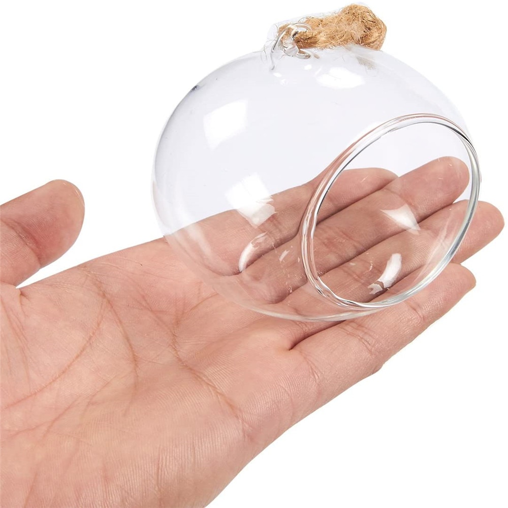 Clear Hanging Air Plant Vase Clear Hanging Air Plant Vase