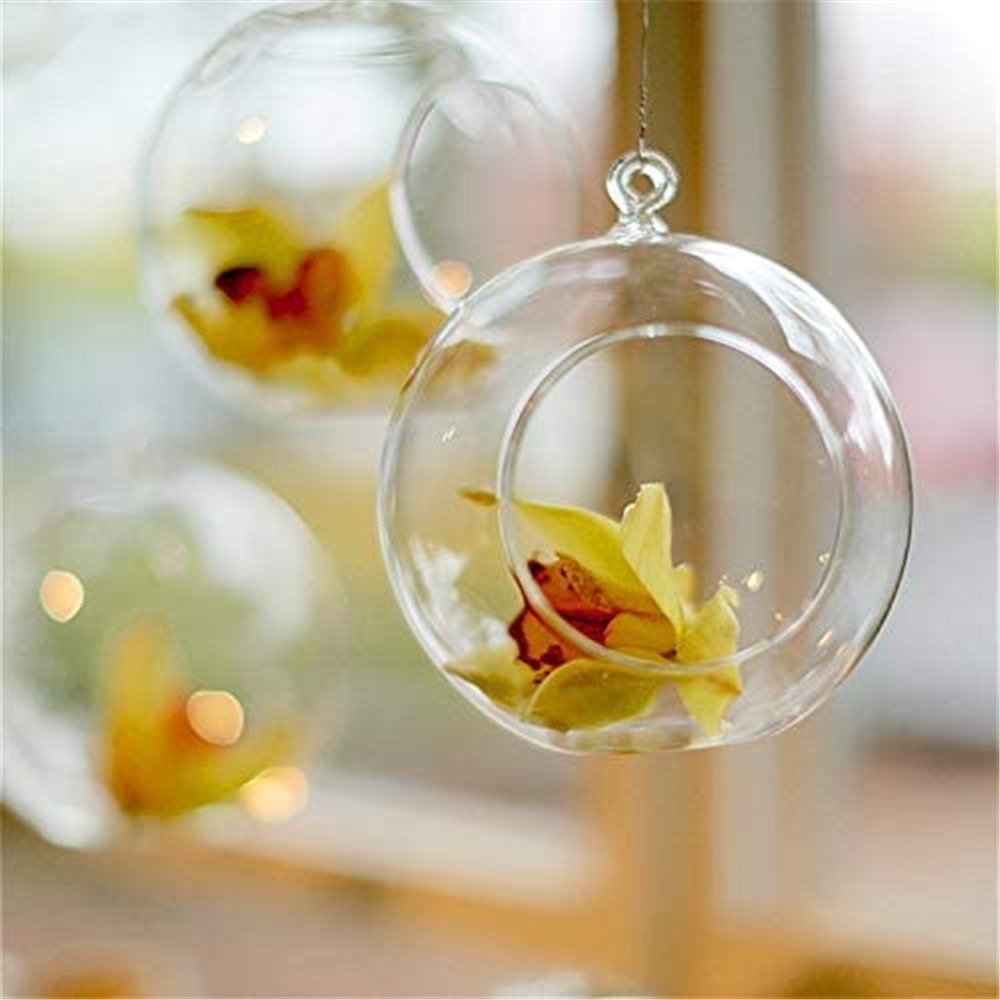 Clear Hanging Air Plant Vase Clear Hanging Air Plant Vase