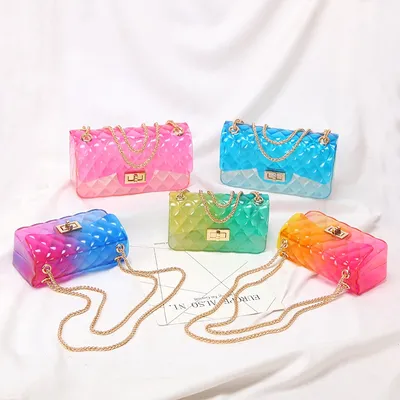 Clear Jelly Purse for Ladies