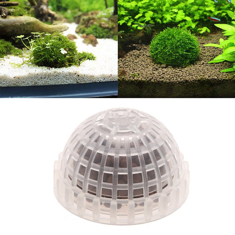 Clear Plastic Aquarium Plant Holder