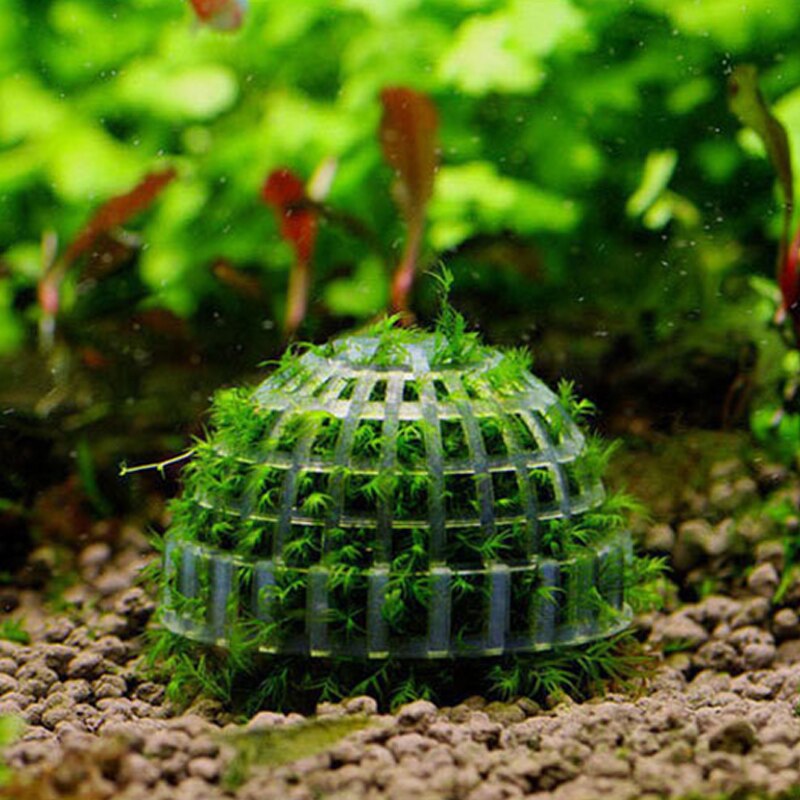 Clear Plastic Aquarium Plant Holder