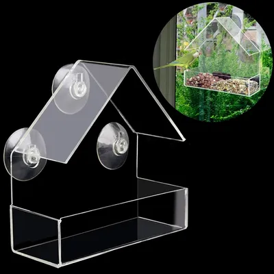 Clear Window Mounted Bird Feeder