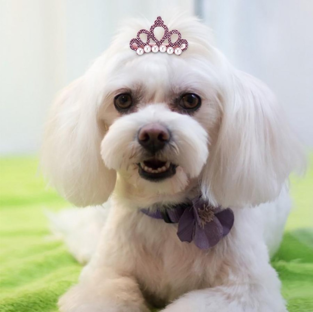 Clip-On Faux Pearl Dog Tiaras (5pcs) Clip-On Faux Pearl Dog Tiaras (5pcs)