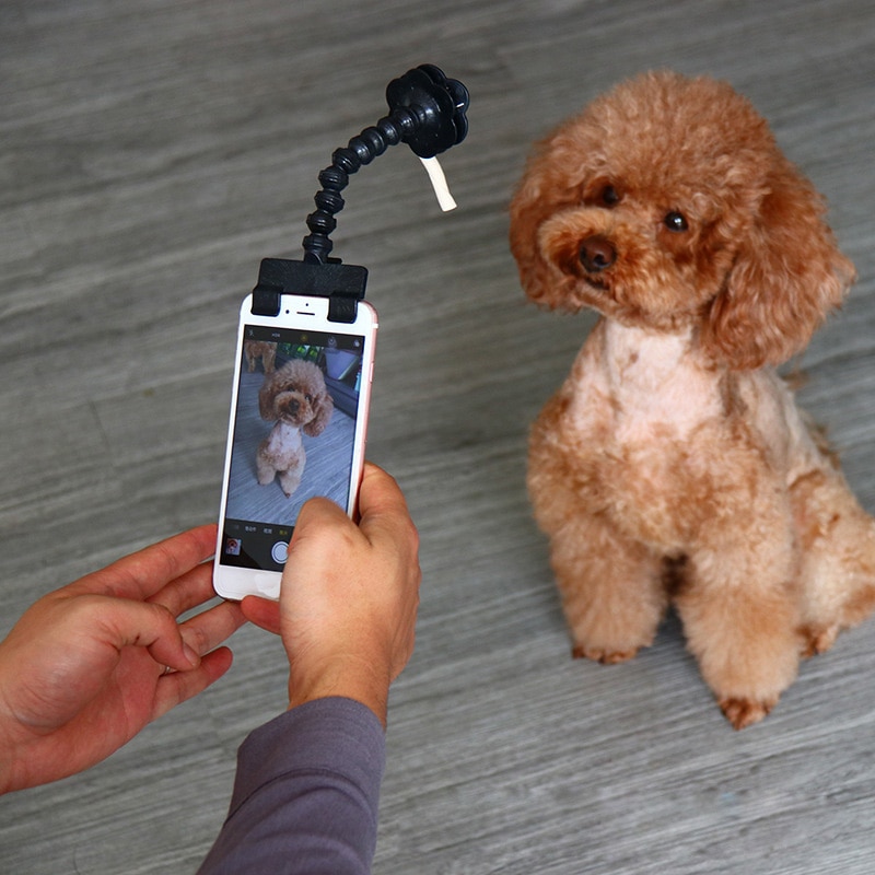 Clip On Flexible Dog Selfie Stick