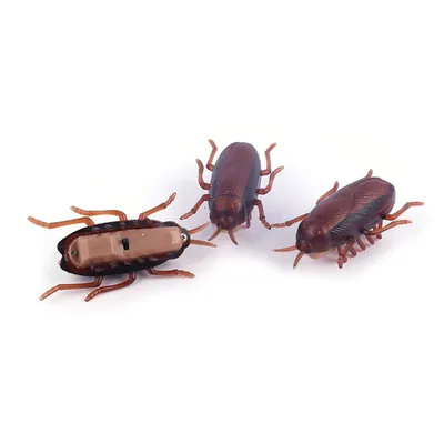 Cockroach Toy Battery-Operated Running Roach Cockroach Toy Battery-Operated Running Roach
