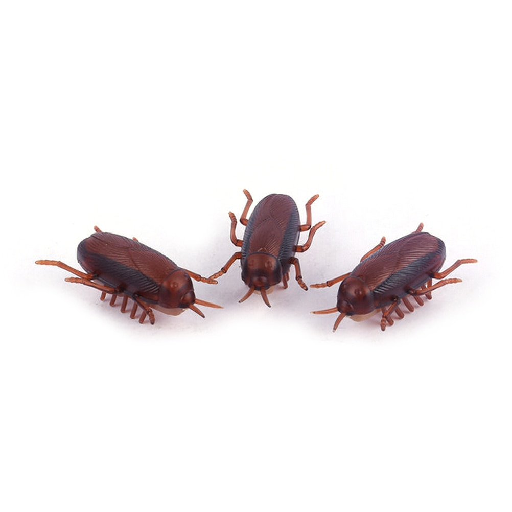 Cockroach Toy Battery-Operated Running Roach Cockroach Toy Battery-Operated Running Roach