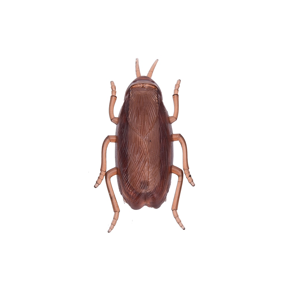Cockroach Toy Battery-Operated Running Roach Cockroach Toy Battery-Operated Running Roach