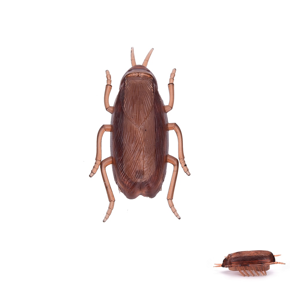 Cockroach Toy Battery-Operated Running Roach Cockroach Toy Battery-Operated Running Roach