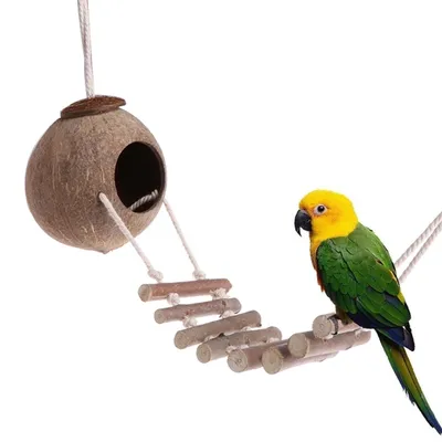 Coconut Bird House with Ladder
