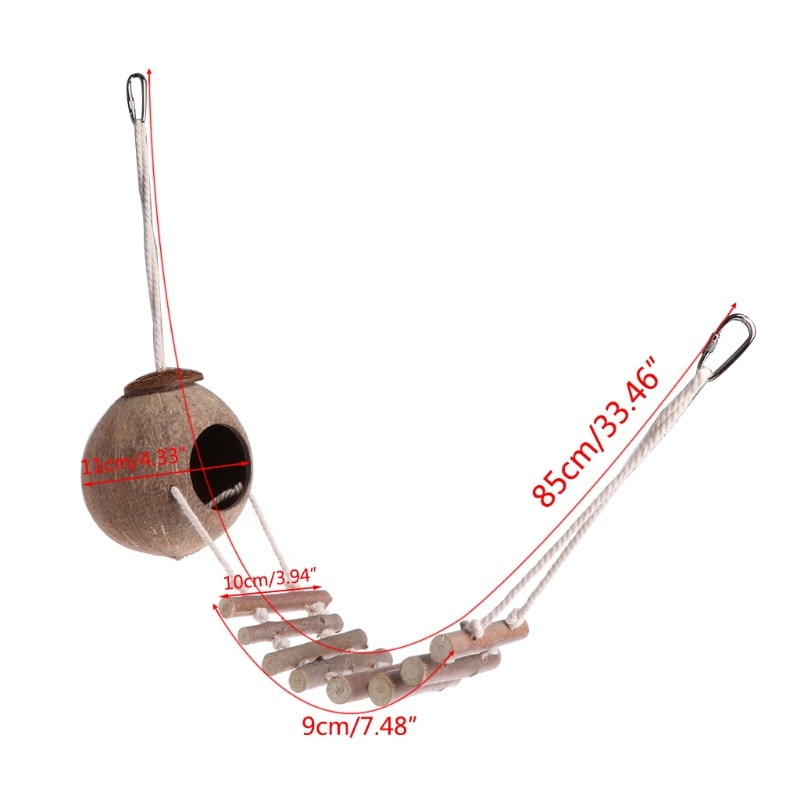 Coconut Bird House with Ladder