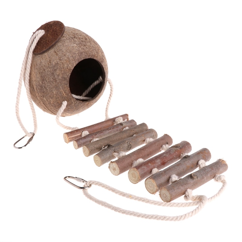 Coconut Bird House with Ladder