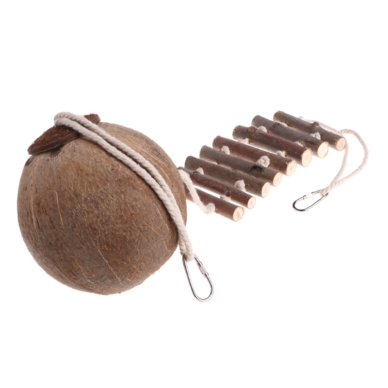 Coconut Bird House with Ladder