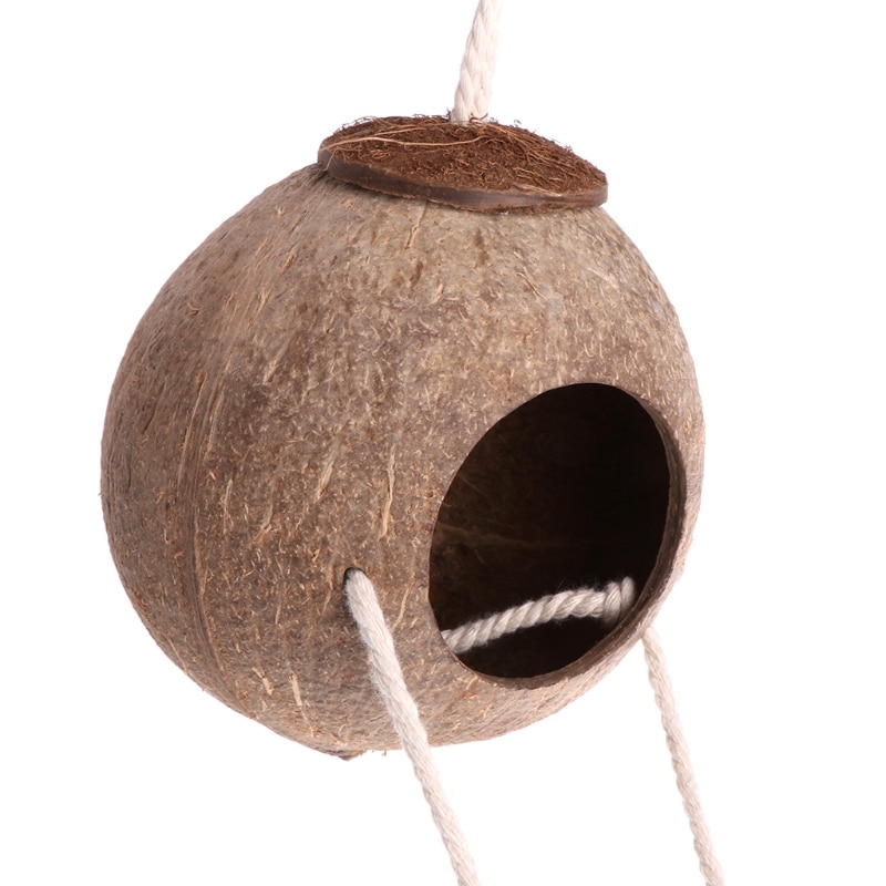 Coconut Bird House with Ladder