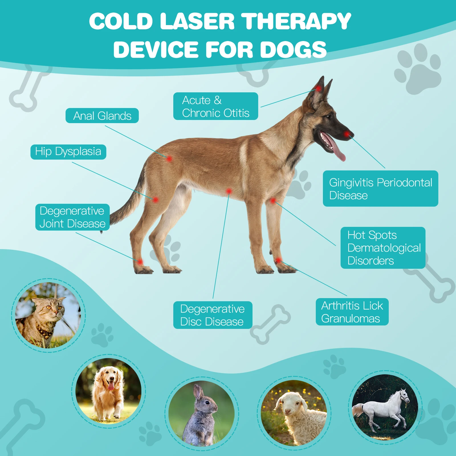 Cold Laser Therapy Vet Device 620nm Wavelength Handheld Red Light Therapy Pet for Arthritis Treatment Pain Relief&Skin
