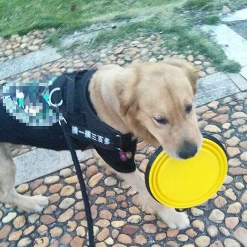 Collapsible Pet Bowl Silicone Feeder