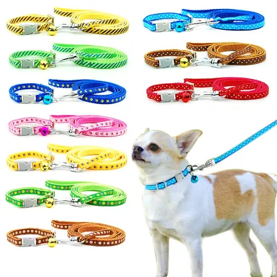 Collar and Leash for Small Pets Collar and Leash for Small Pets