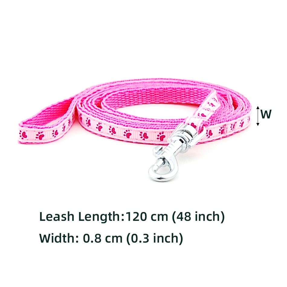 Collar and Leash for Small Pets Collar and Leash for Small Pets