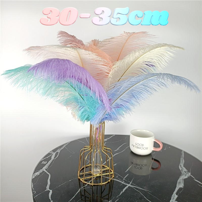 Colored Faux Ostrich Feathers (10 Pcs)
