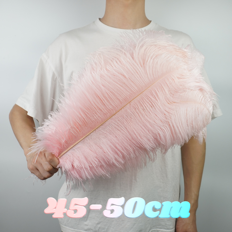 Colored Faux Ostrich Feathers (10 Pcs)