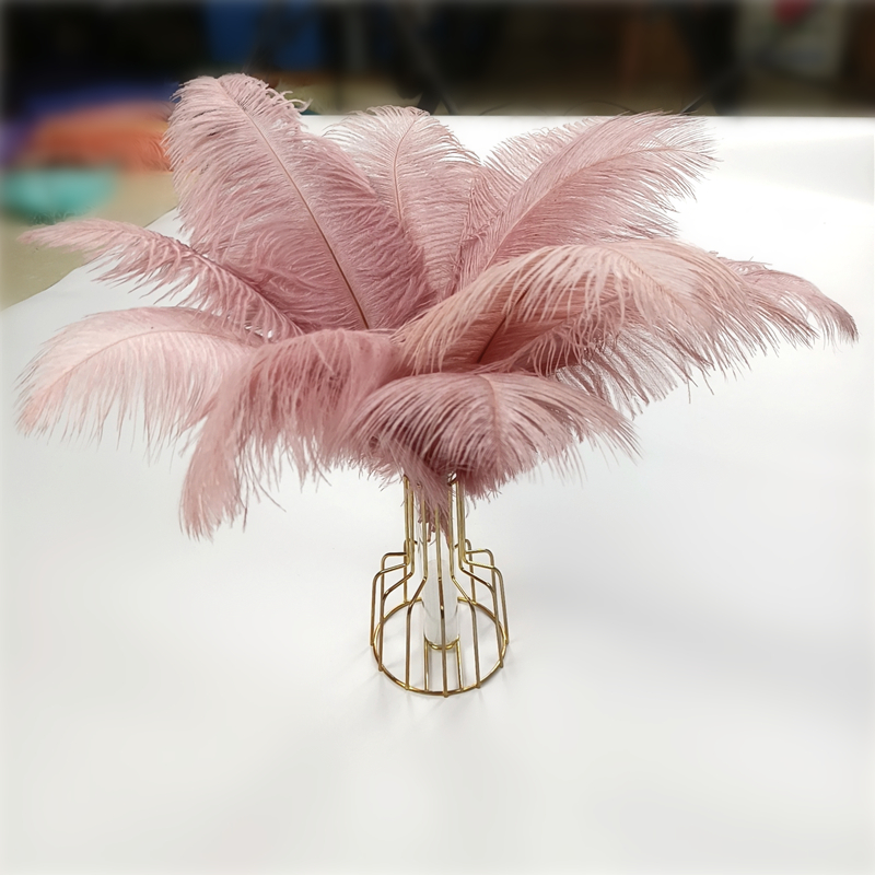 Colored Faux Ostrich Feathers (10 Pcs)