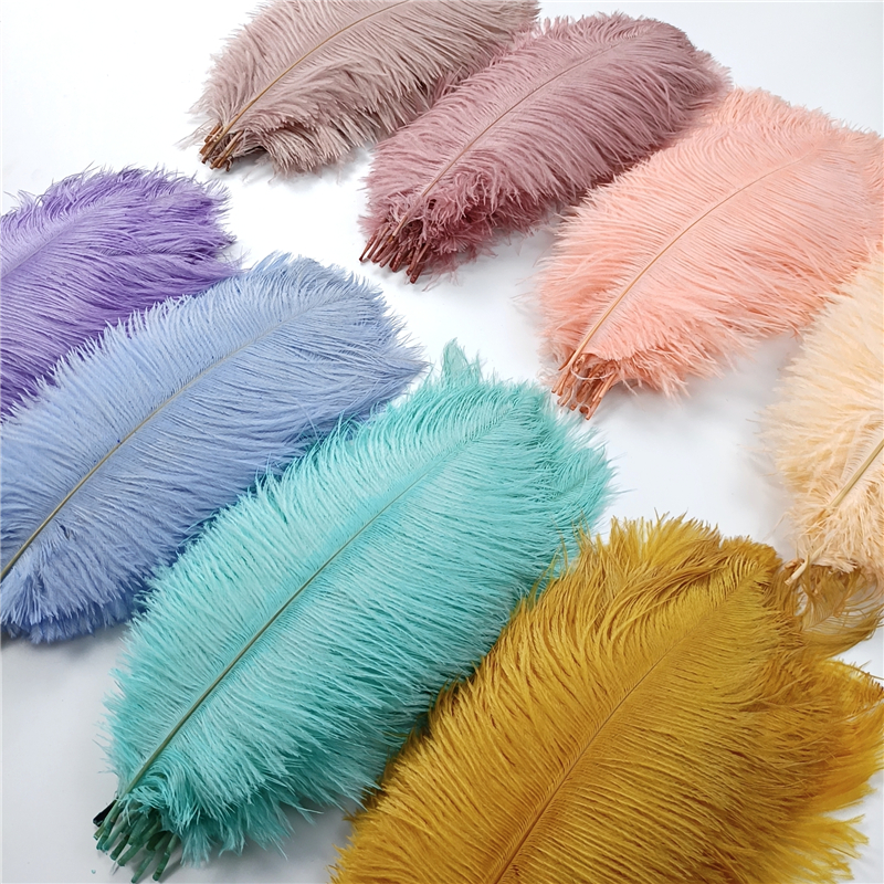 Colored Faux Ostrich Feathers (10 Pcs)