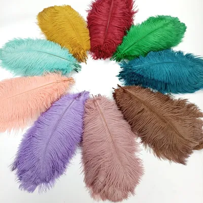 Colored Ostrich Feather Plumes (10pcs)